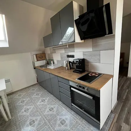 Prijemny Podkrovni Byt S Parkovanim Na Pozemku. Trsice Exterior photo
